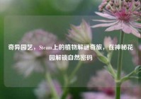 奇异园艺，Steam上的植物解谜奇旅，在神秘花园解锁自然密码