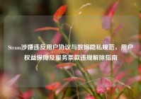 Steam涉嫌违反用户协议与数据隐私规范，用户权益保障及服务条款违规解除指南