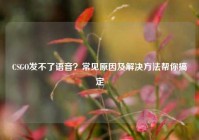 CSGO发不了语音？常见原因及解决方法帮你搞定