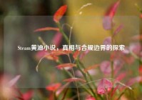 Steam黄油小说，真相与合规边界的探索