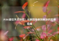PUBG键位失灵别慌！从原因排查到解决的实用指南