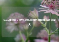 Steam冲锋队，数字战场里的热血图腾与社区星火