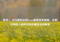 如龙7，光与暗的去向Steam版登录全指南，从购买到进入游戏详细步骤及名称解答