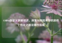 COD16自定义数据修改，探索与风险并存的游戏个性化之路及操作指南