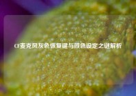 CF麦克风灰色恢复键与颜色设定之谜解析
