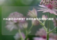 PUBG能否自动换弹？游戏机制与实用技巧解析