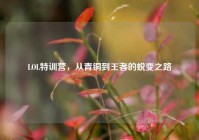 LOL特训营，从青铜到王者的蜕变之路