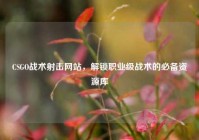 CSGO战术射击网站，解锁职业级战术的必备资源库