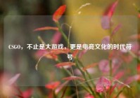 CSGO，不止是大游戏，更是电竞文化的时代符号
