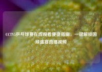 CCTV5乒乓球赛在线观看便捷指南，一键解锁国球盛宴直播视频