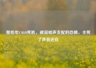那些年CSGO死机，被滋啦声支配的恐惧，卡死了声音还在
