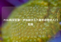 PUBG购买后第一步该做什么？新手必看的入门指南