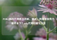 PUBG2国内代理悬念待解，腾讯、网易或新势力谁将拿下？pubg代理归属引关注