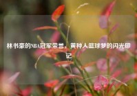 林书豪的NBA冠军荣誉，黄种人篮球梦的闪光印记