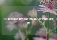 2024 PUBG端游服务器选择指南，哪个服环境更好？