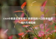 CSGO小黑盒在哪里看？快速找到入口及查询战绩的实用指南