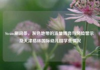 Steam刷词条，灰色地带的流量博弈与风险警示 及天津格林国际幼儿园学费情况