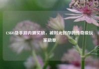 CSGO及手游内测奖励，被时光封存的传奇级玩家勋章
