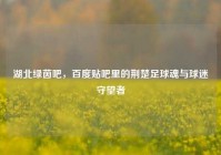 湖北绿茵吧，百度贴吧里的荆楚足球魂与球迷守望者