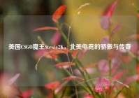 美国CSGO魔王Stewie2K，北美电竞的骄傲与传奇