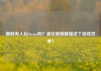 朝鲜有人玩Steam吗？谁在悄悄触碰这个游戏世界？