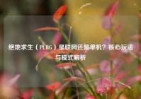 绝地求生（PUBG）是联网还是单机？核心玩法与模式解析