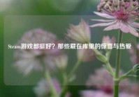 Steam游戏都挺好？那些藏在库里的惊喜与热爱