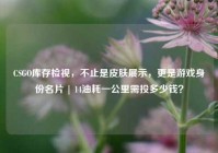 CSGO库存检视，不止是皮肤展示，更是游戏身份名片 | 14油耗一公里需投多少钱？