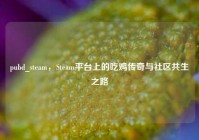 pubd_steam，Steam平台上的吃鸡传奇与社区共生之路
