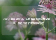 CSGO开黑赢局密码，队内语音是团队默契第一步，语音开不了该如何解决？