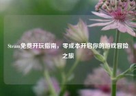 Steam免费开玩指南，零成本开启你的游戏冒险之旅