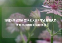 姚明为何能跻身篮球名人堂？不止身高优势，更是跨越国界的篮球使者