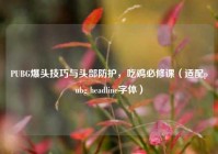 PUBG爆头技巧与头部防护，吃鸡必修课（适配pubg headline字体）