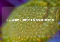 Steam模拟桥，用数字工程构筑跨越的艺术
