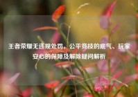 王者荣耀无违规处罚，公平竞技的底气、玩家安心的保障及解除疑问解析