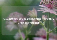Steam暖雪账号安全购买与防护指南，避坑技巧+付费免费区别解析