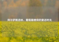 阿尔萨斯洛林，葡萄藤缠绕的童话时光