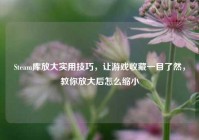 Steam库放大实用技巧，让游戏收藏一目了然，教你放大后怎么缩小