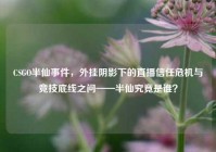 CSGO半仙事件，外挂阴影下的直播信任危机与竞技底线之问——半仙究竟是谁？