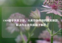 CSGO箱子失踪之谜，从库存到市场的常见原因、解决办法及失踪箱子解析