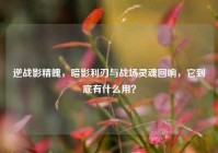 逆战影精魄，暗影利刃与战场灵魂回响，它到底有什么用？