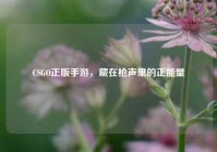 CSGO正版手游，藏在枪声里的正能量