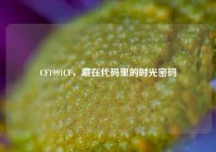 CF1991CF，藏在代码里的时光密码
