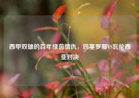 西甲双雄的百年绿茵情仇，巴塞罗那VS瓦伦西亚对决