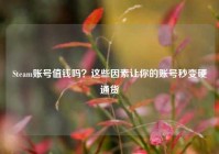 Steam账号值钱吗？这些因素让你的账号秒变硬通货