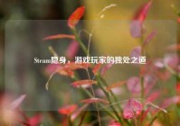 Steam隐身，游戏玩家的独处之道