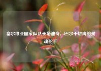 塞尔维亚国家队队长塔迪奇，巴尔干雄鹰的灵魂舵手