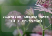 CSGO豹子跳全攻略，从基础到实战，身法提升关键一步（含豹子与蛇跳技巧）