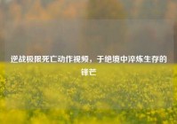 逆战极限死亡动作视频，于绝境中淬炼生存的锋芒