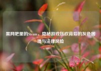 黑网吧里的Steam，隐秘游戏狂欢背后的灰色困境与法律风险